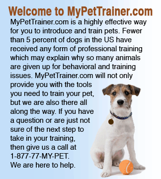Welcome to MyPetTrainer.com
